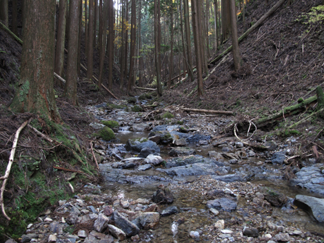 20131124hike (90)
